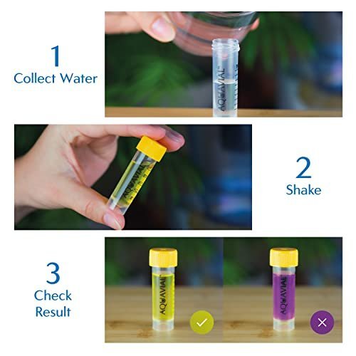 AVE 7